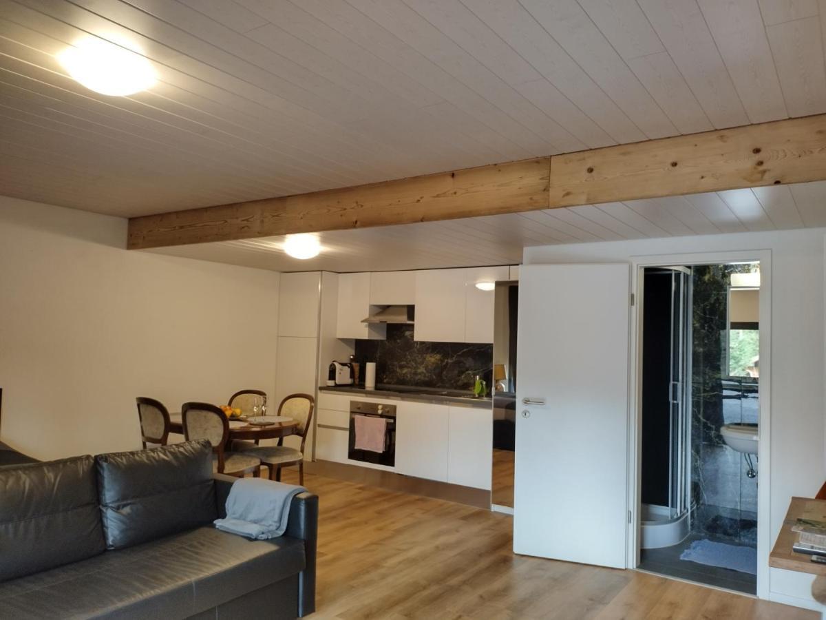 Spacieux studio 38m2 proche randonnées pistes de ski Les Paccots Exterior foto